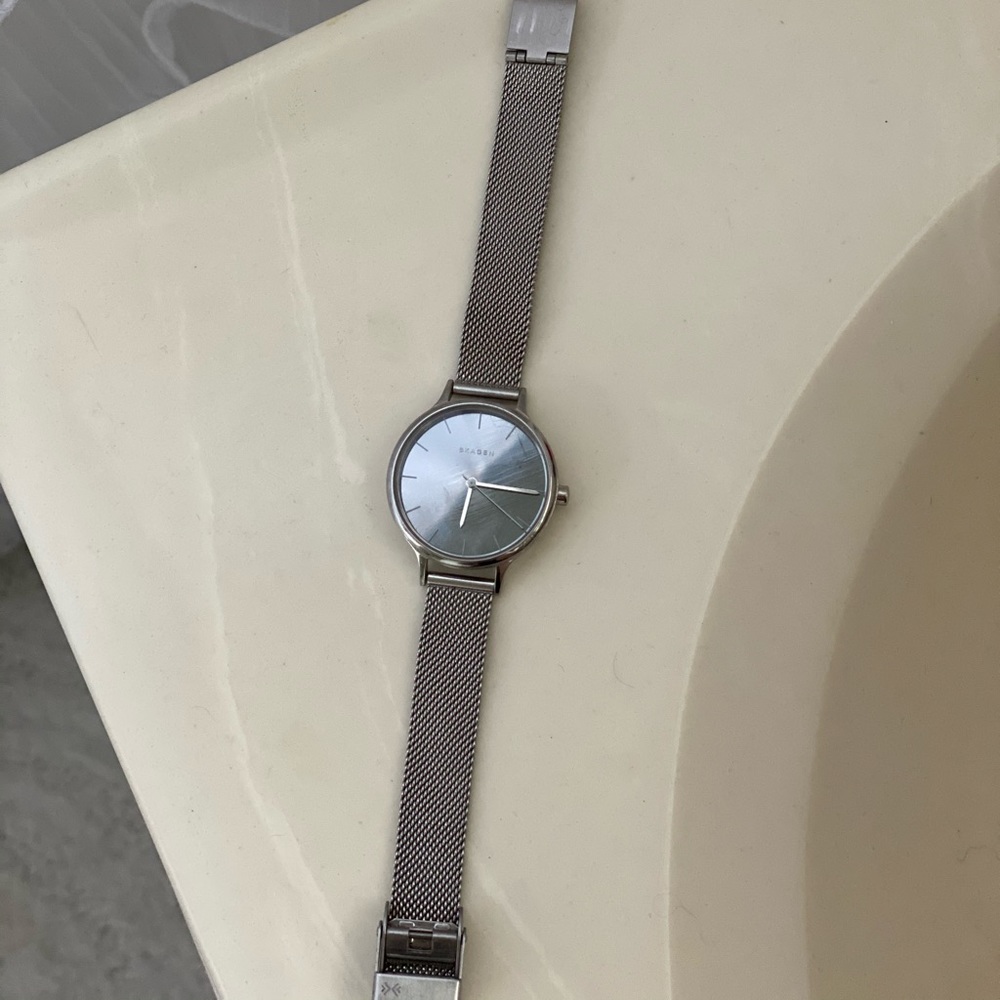 SKAGEN MESH WATCH